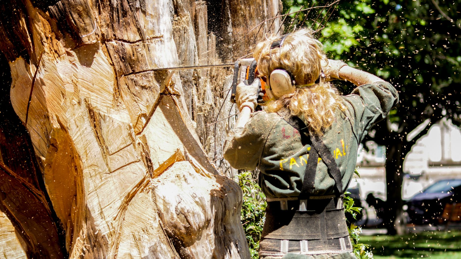 A tree service professional performing a hazard tree assessment on a mature cedar near a residential home in Lake Oswego