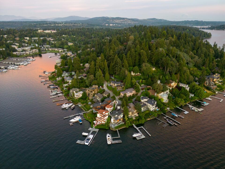 Hero Tree Removal in Lake Oswego