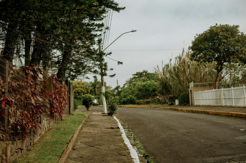 Intro Tree Removal in Tualatin