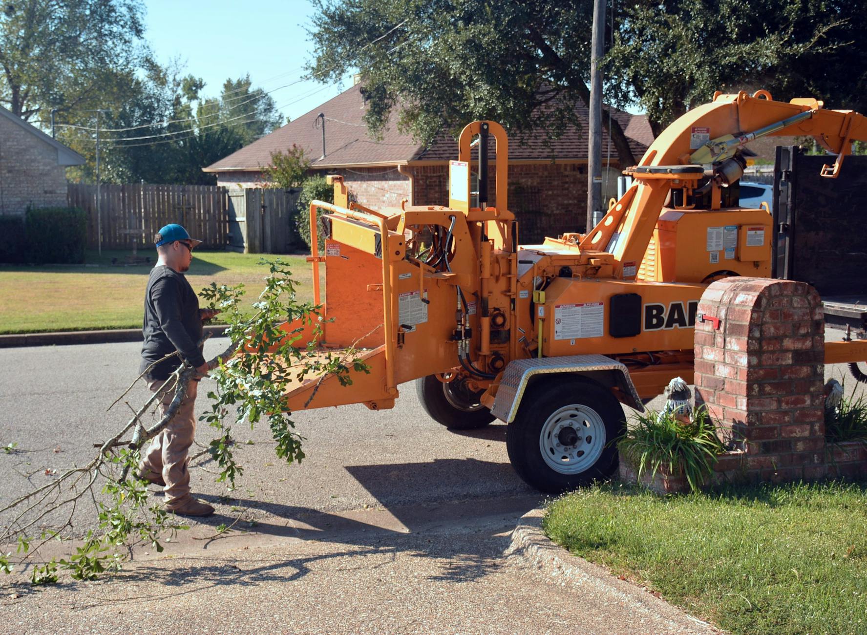 An arborist performing a controlled crown reduction on a large big-leaf maple in a Wood Village backyard.